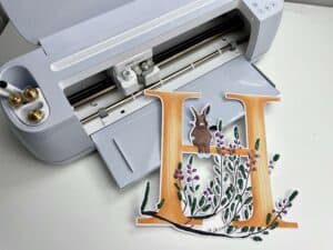 Print Then Cut Cricut Maker 3 Explorer 3